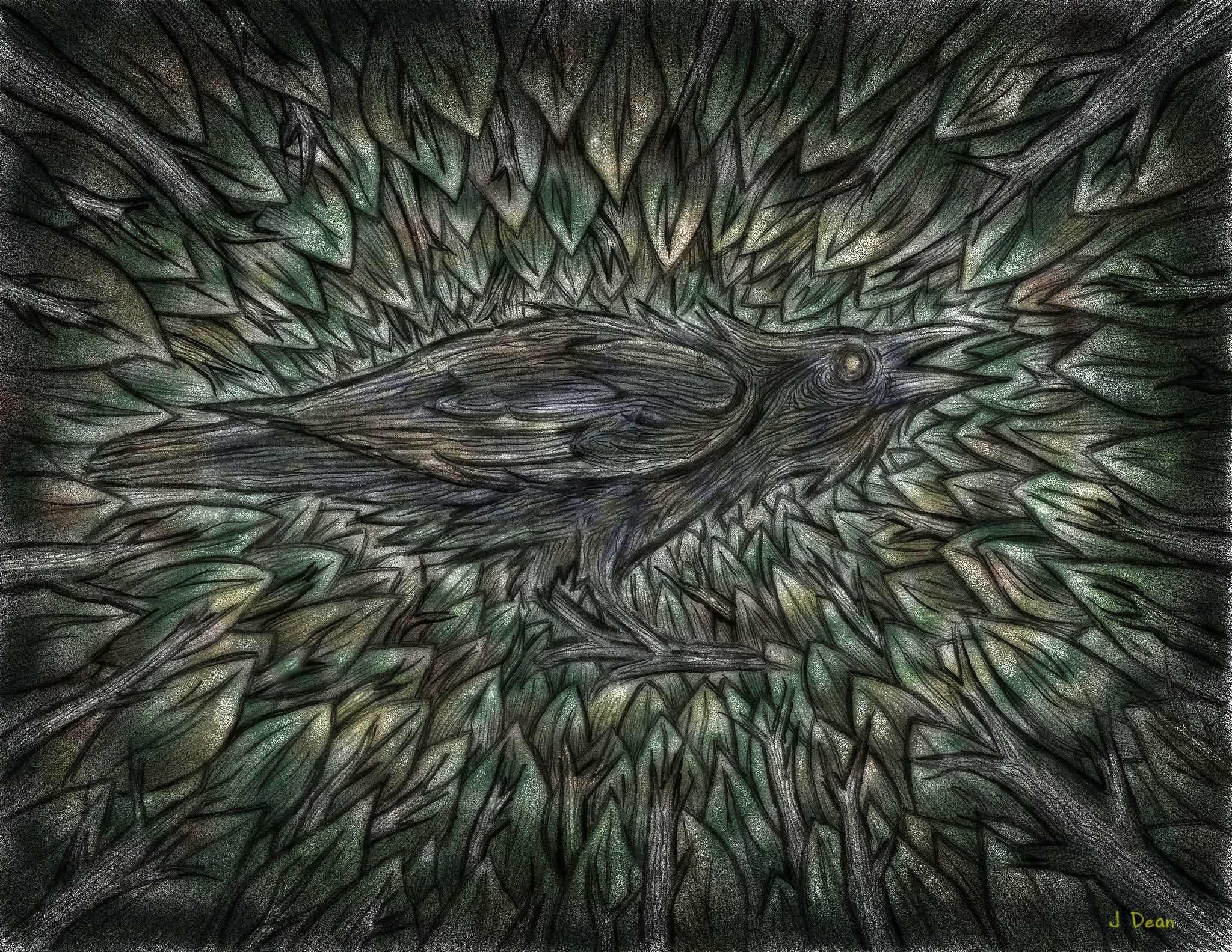 Angry crow