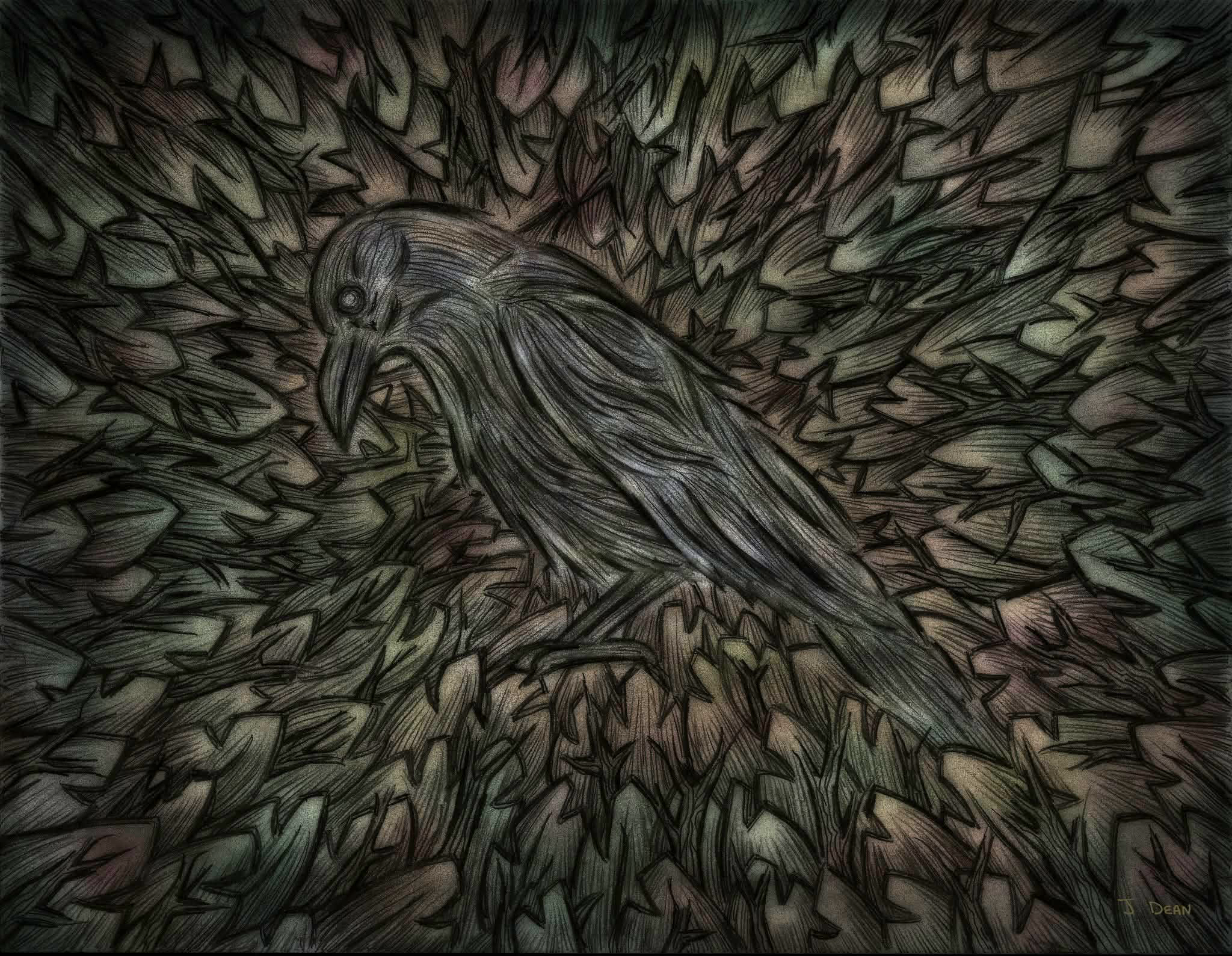 Sad crow